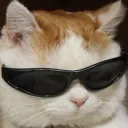 acidgxyzzo