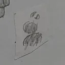 _hafuza