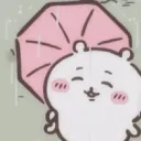 xtx_tanuky