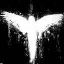 cxrsed4life