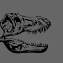 raptormm4