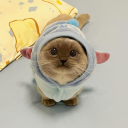 avatar 0WhiteDev ⚡