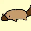 x_platypus