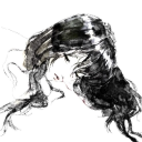 avatar kvi