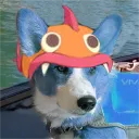 lily's Avatar