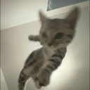 avatar . Малыш
