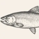 jasondfish
