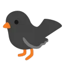 rook_is_not_here avatar