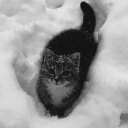 avatar -ˋˏ 𝑘𝑜𝑘𝑜ˎˊ-