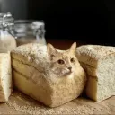 unloafedloaf