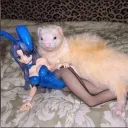 .miso_00