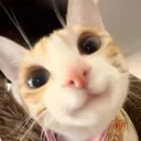 dotadump