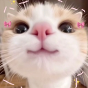 avatar Như Quỳnh