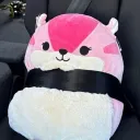 melononebay