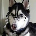 sheriffsanatomy member profile picture