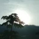 akree.com