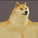 swoledoge_