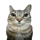 oly6 avatar