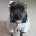 littletimy
