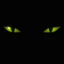 nightexpress