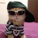 m0aner