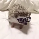 joshuajv