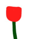 flordoflores8381