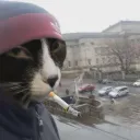 ineedasillycatrn avatar