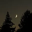 mrwaxo