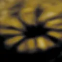 mrwaxo