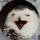 cosmo_o0