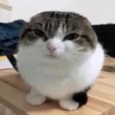 meliektrein