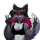 avatar ash9696thefox