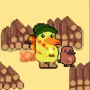 hexadacimal5047