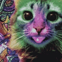 avatar acidcat123yes