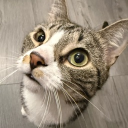 avatar AIR ༄༄࿐