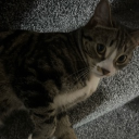 avatar AIR ༄༄࿐