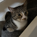 avatar AIR ༄༄࿐