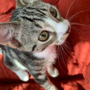 avatar AIR ༄༄࿐