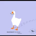 goose8769 avatar