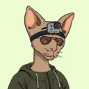 crewmaster.