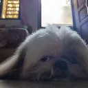 _wuwuuuu