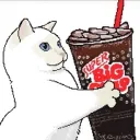 6dsss