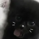 akarixrs