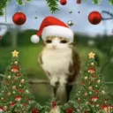 Аватар colette228