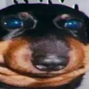 sirsardelka