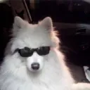 blade.xo avatar