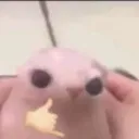 elkrnaldekrnalpulpo avatar