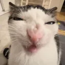 mrredua