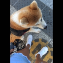 avatar User96374630748